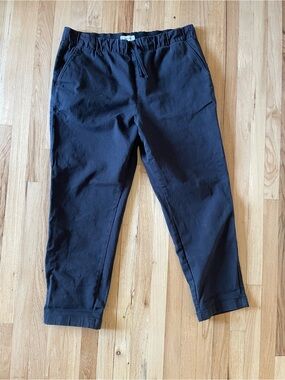 Everlane The Easy Pant men’s XL